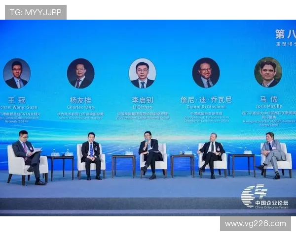 以企业家精神为中心推动创新与可持续发展的战略路径探索实践范式